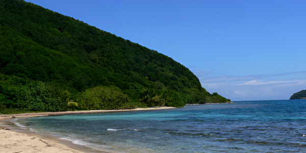 Isola dei Famosi 2025: Il trionfo inaspettato di Cristina Plevani